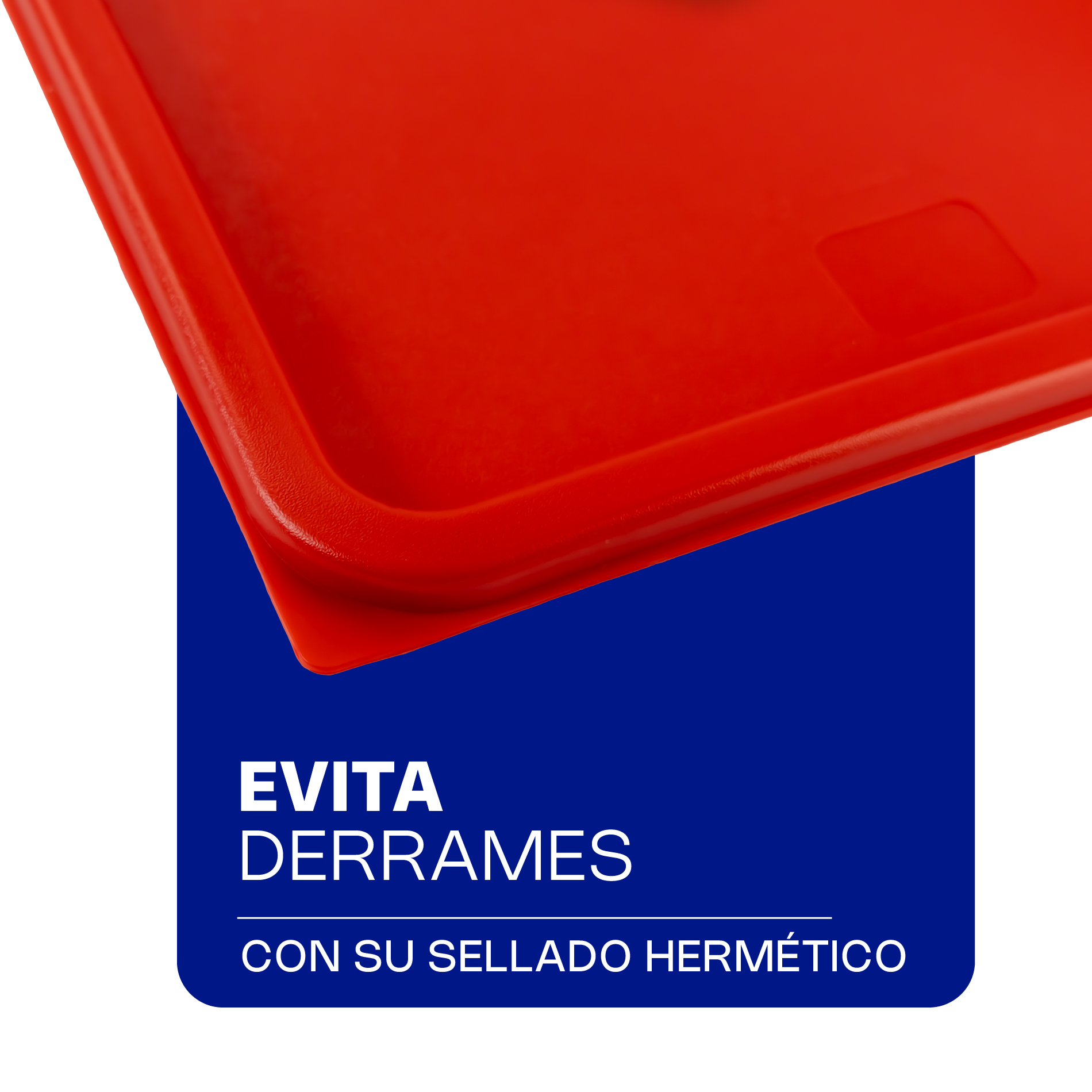 Foto 2 | Tapa Caledonia para Recipiente