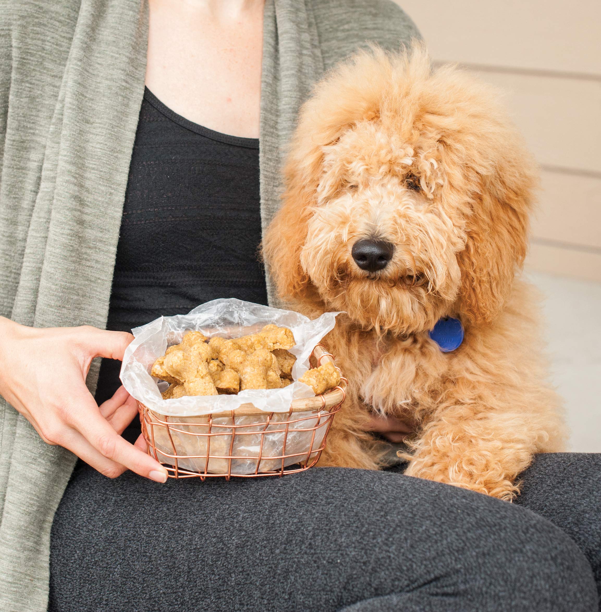 Foto 5 | Bandeja Para Hornear Nordic Ware Puppy Love, 16 Cavidades, Azul Marino - Venta Internacional.