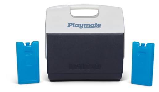 Foto 3 | Ice Blocks Igloo Medium Maxcold  Paquete De 2 Unidades  Reutilizables Para Refrigeradores - Venta Internacional.