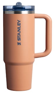 Foto 1 | Vaso Stanley Quencher Protour Flip Straw Toast Vrt 900 ml - Venta Internacional