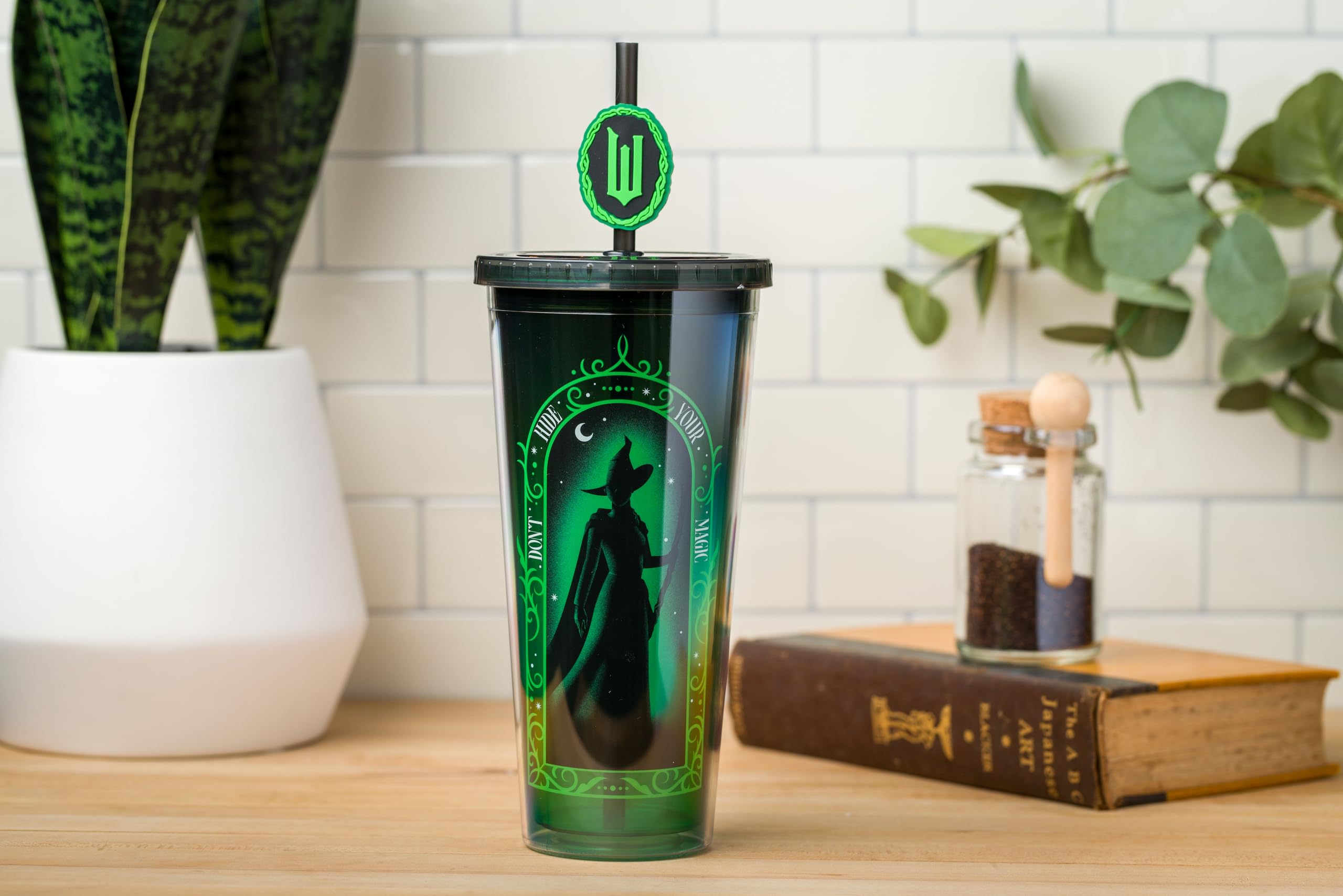 Foto 4 pulgar | Copa Fría Silver Buffalo Wicked Elphaba Don't Hide 710 Ml - Venta Internacional.