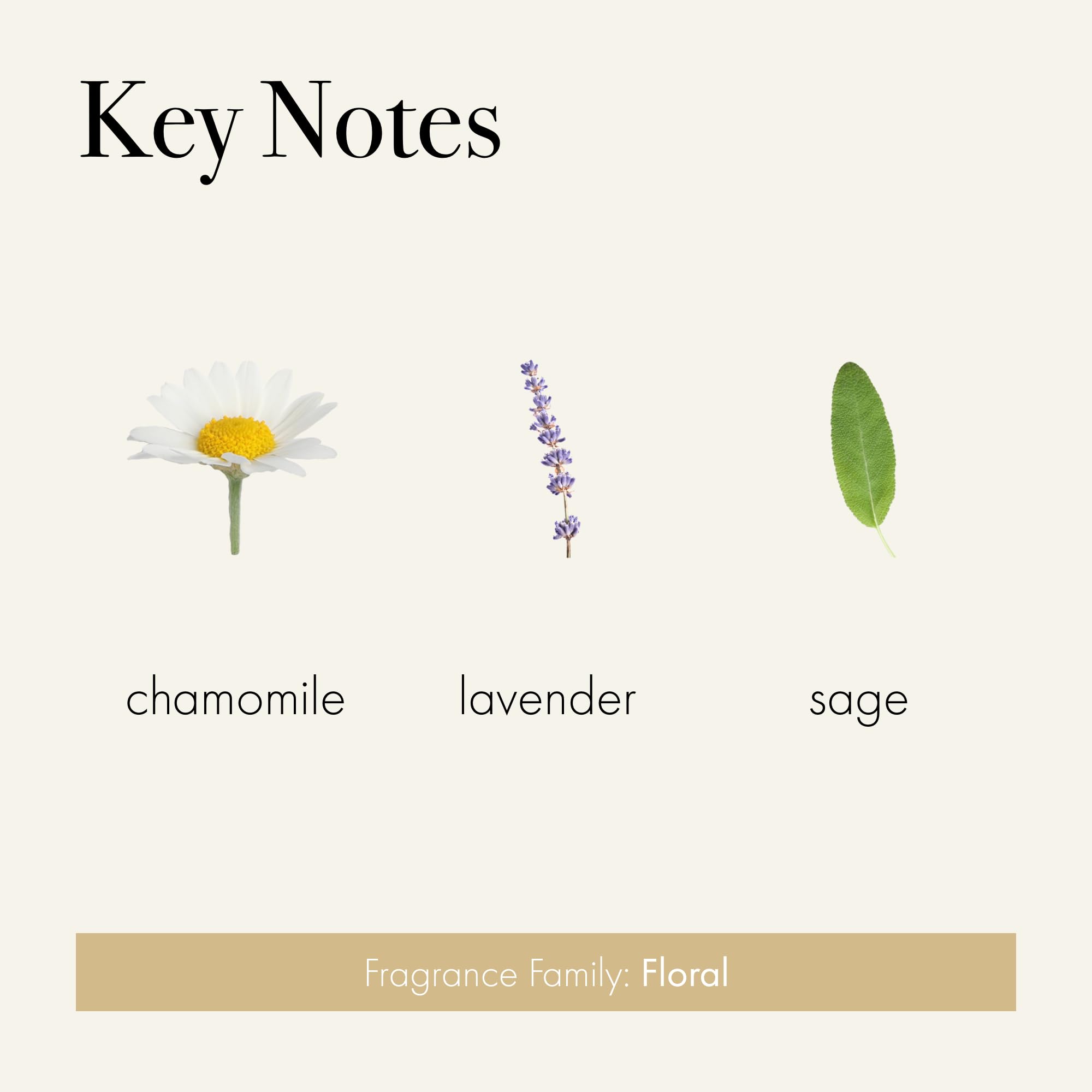 Foto 3 | Recarga De Difusor Inteligente Lafco New York Pura Chamomile Lavender - Venta Internacional.