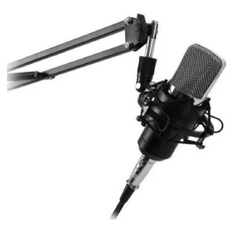 Foto 1 | Kit De Micrófono Streaming Studio Con Brazo De Antípode Y Filtro - Venta Internacional.