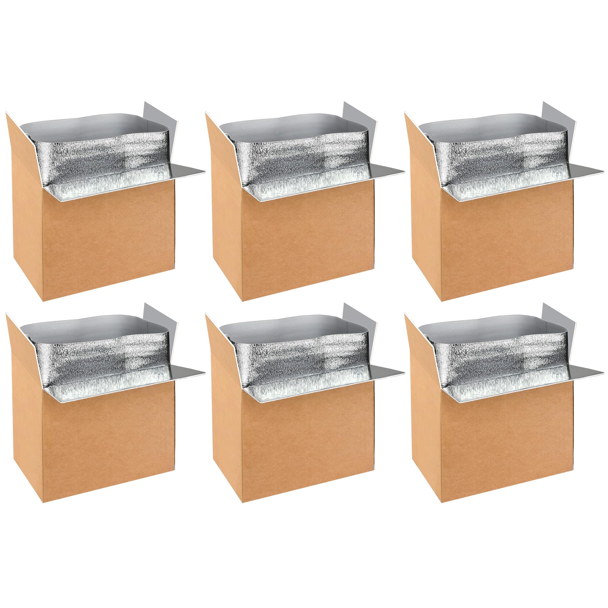 Foto 1 | Cajas De Envío Aislantes Simple Deluxe, Paquete De 6 Con Forro, 19 X 12 - Venta Internacional.