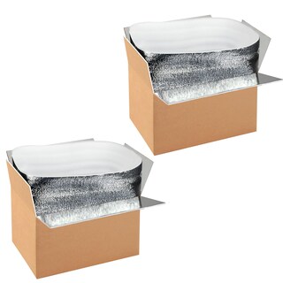 Foto 1 | Cajas De Envío Aislantes Simple Deluxe, Paquete De 2 Con Forro, 12 X 10 X 7 - Venta Internacional.