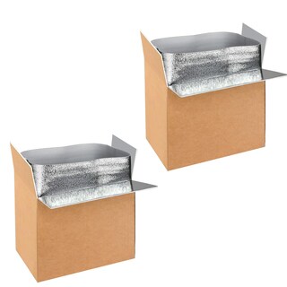 Foto 1 | Cajas De Envío Aislantes Simple Deluxe, Paquete De 2 Con Forro, 19 X 12 - Venta Internacional.