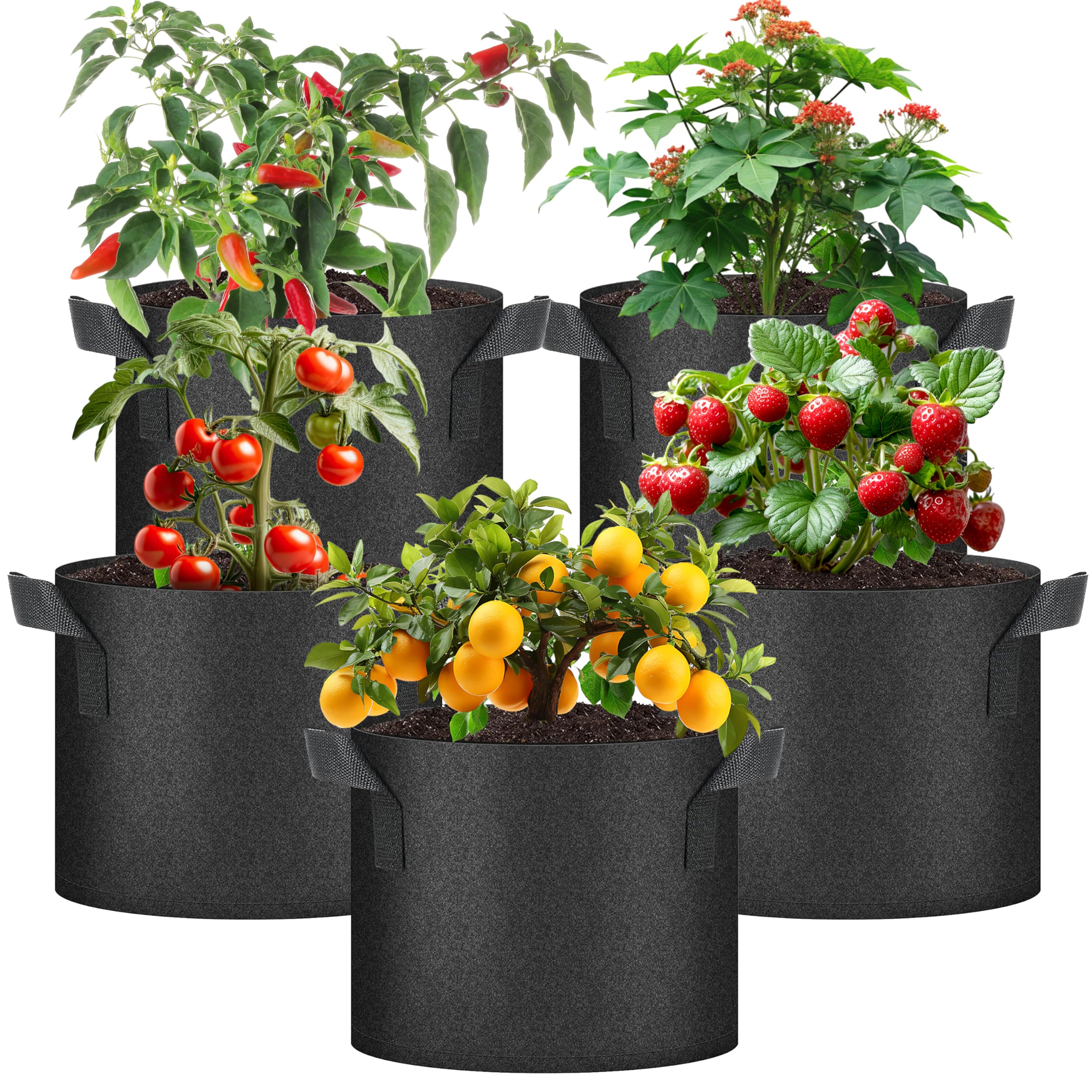 Foto 2 pulgar | Bolsas De Cultivo De Plantas Healsmart De 5 Galones  Paquete De 5  Para Vegetales Negros - Venta Internacional.