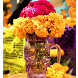 Foto 3 | Frasco de Vidrio Calavera color Morado 16oz./473ml. Drink Lab - 6 Piezas
