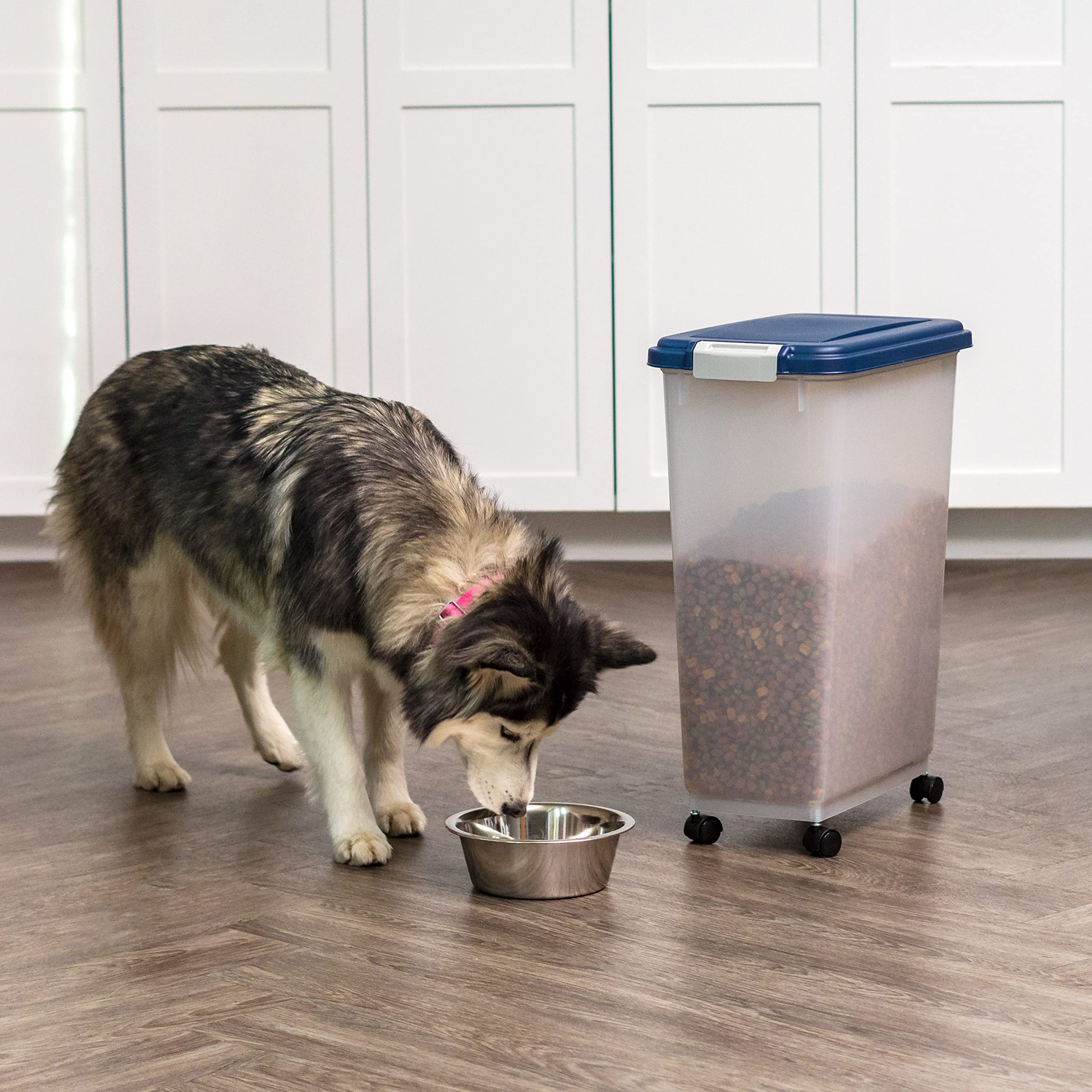 Foto 7 pulgar | Recipiente De Almacenamiento De Comida Iris Usa Hermético De 38 Kg Para Perros, Gatos Y Pájaros - Venta Internacional.