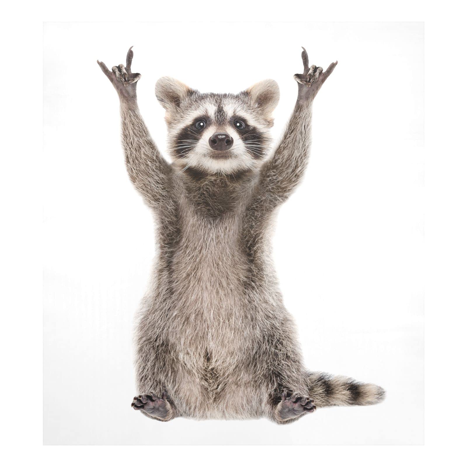 Foto 2 pulgar | Funda Magnética Para Lavavajillas Naanle Funny Raccoon, 58 X 66 Cm - Venta Internacional.