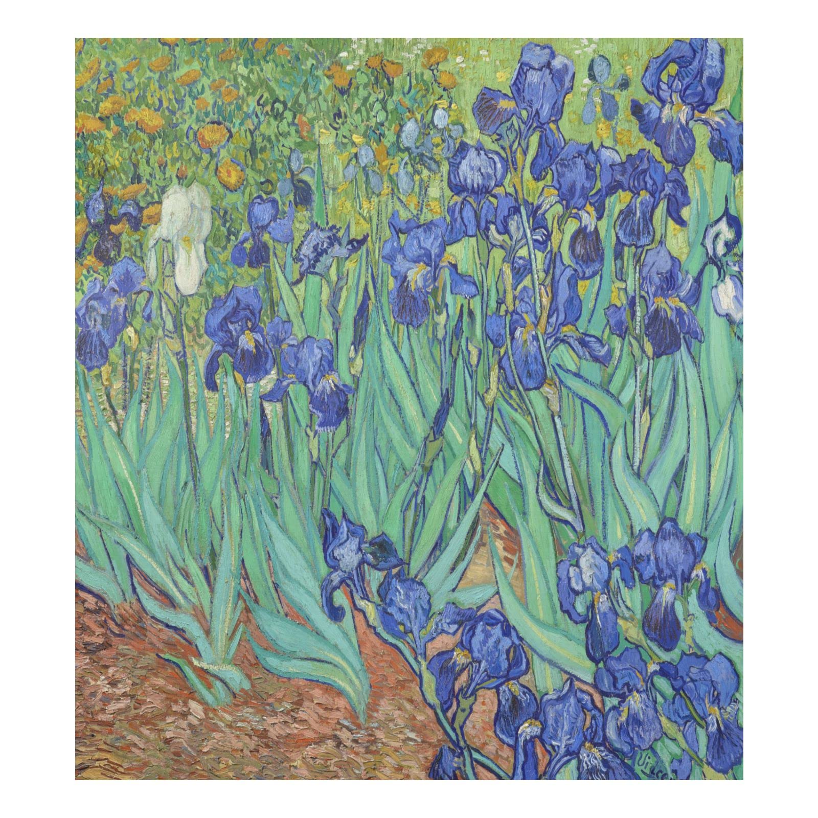 Foto 2 pulgar | Funda Magnética Para Lavavajillas Naanle Irises Van Gogh, 58 X 66 Cm - Venta Internacional.