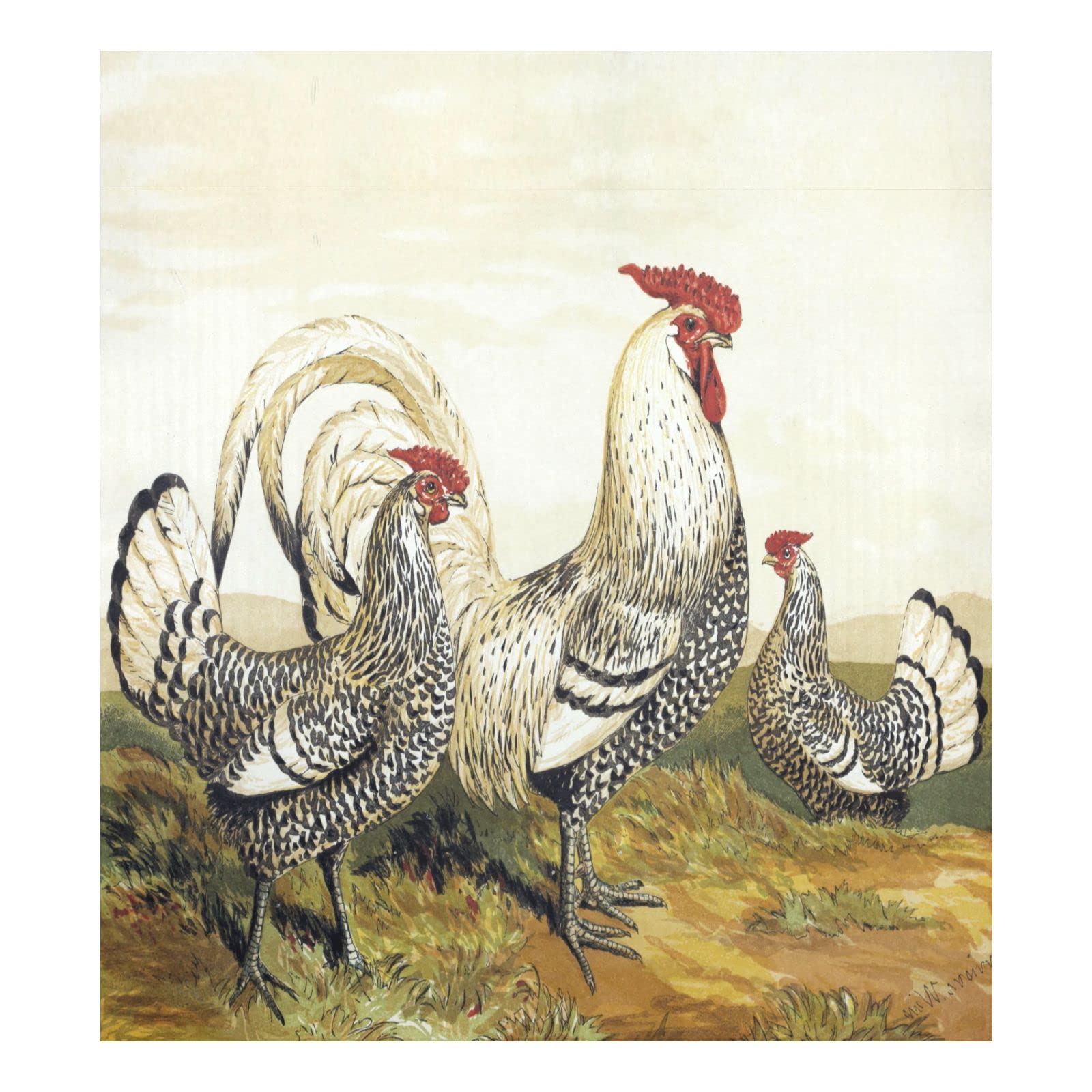 Foto 2 pulgar | Funda Magnética Para Lavavajillas Naanle Vintage Rooster, 58 X 66 Cm - Venta Internacional.