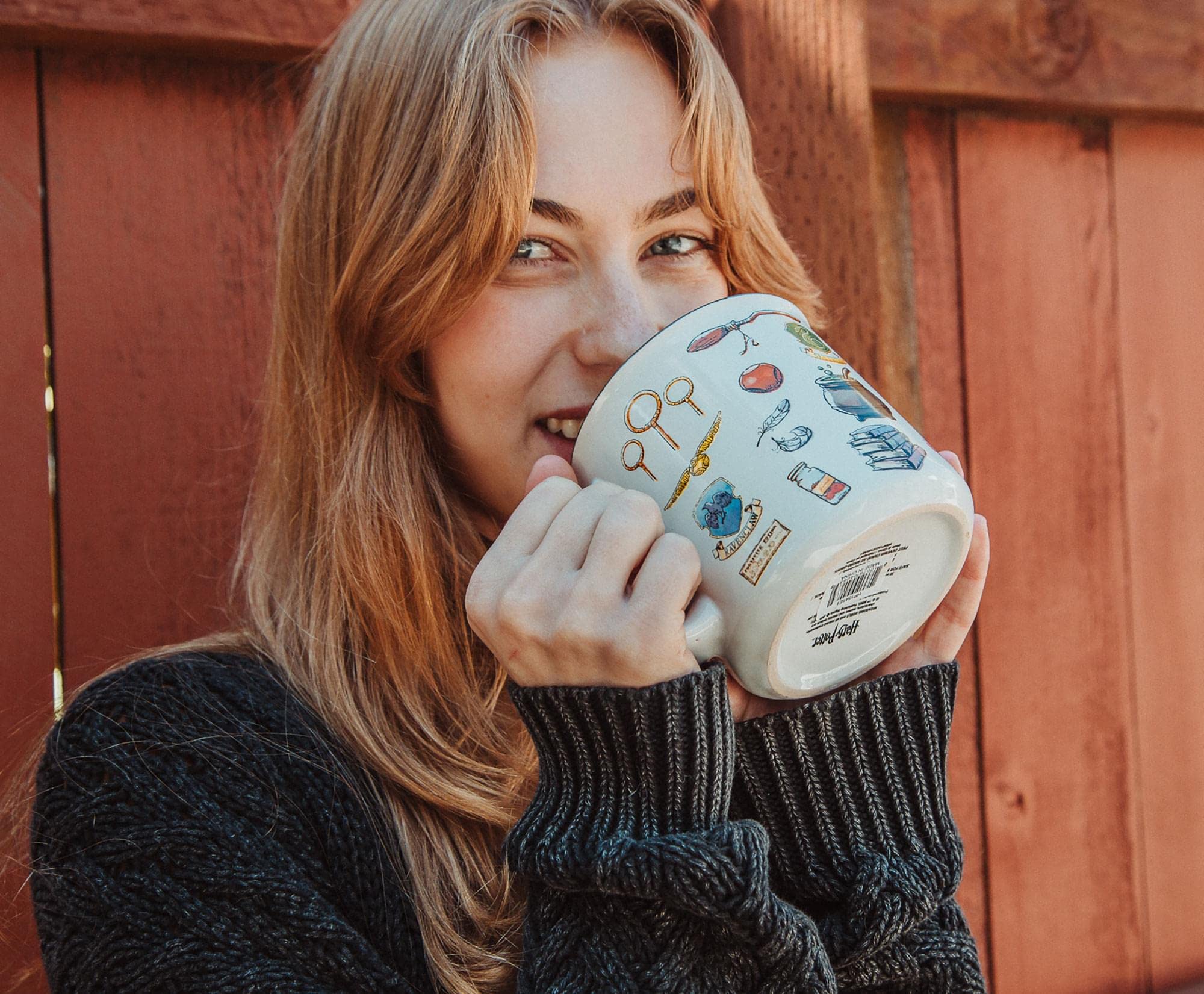 Foto 6 | Taza Camper Silver Buffalo Harry Potter Hogwarts, 600 Ml - Venta Internacional.