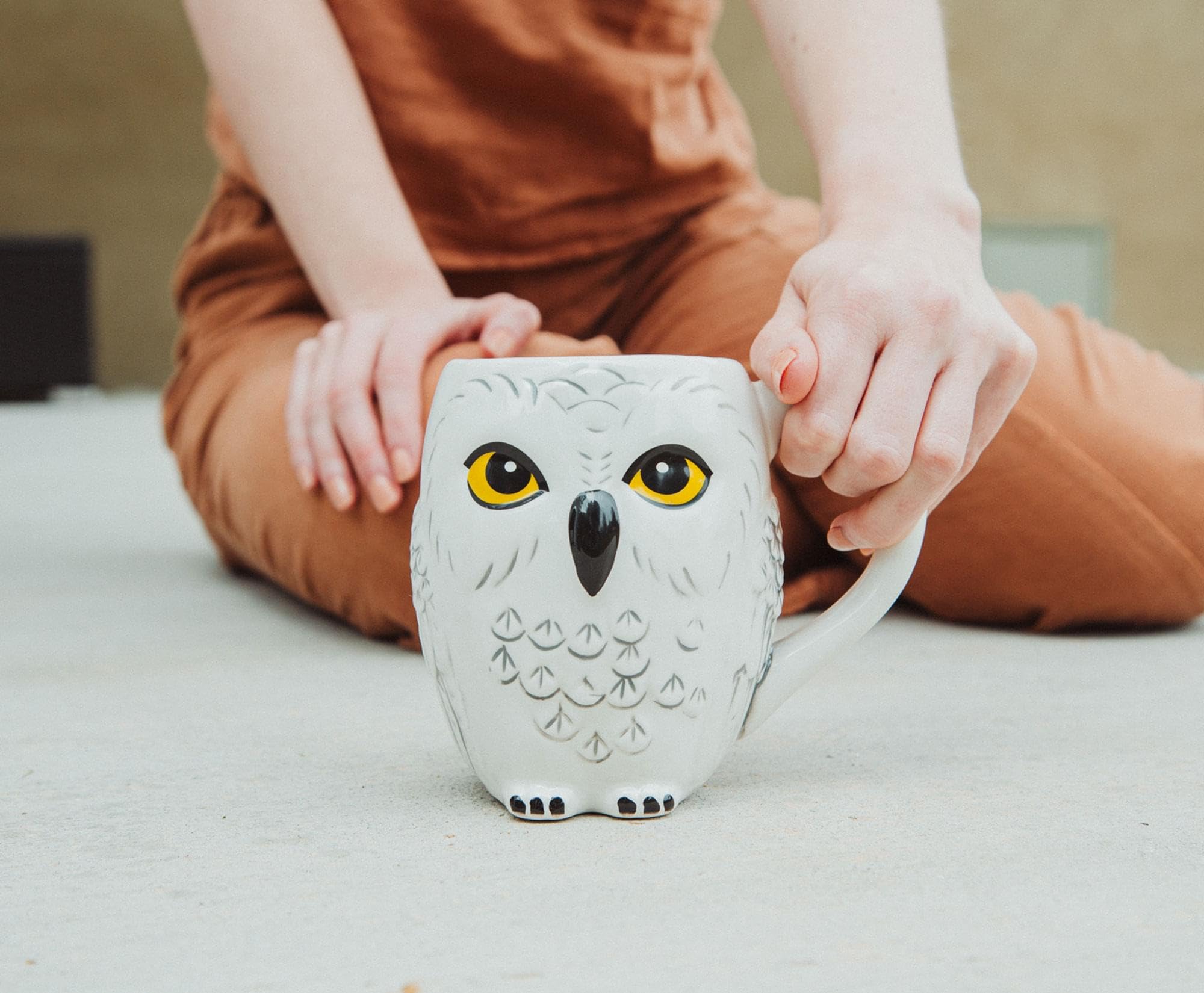 Foto 6 | Taza De Cerámica Silver Buffalo Harry Potter Hedwig, 600 Ml - Venta Internacional.