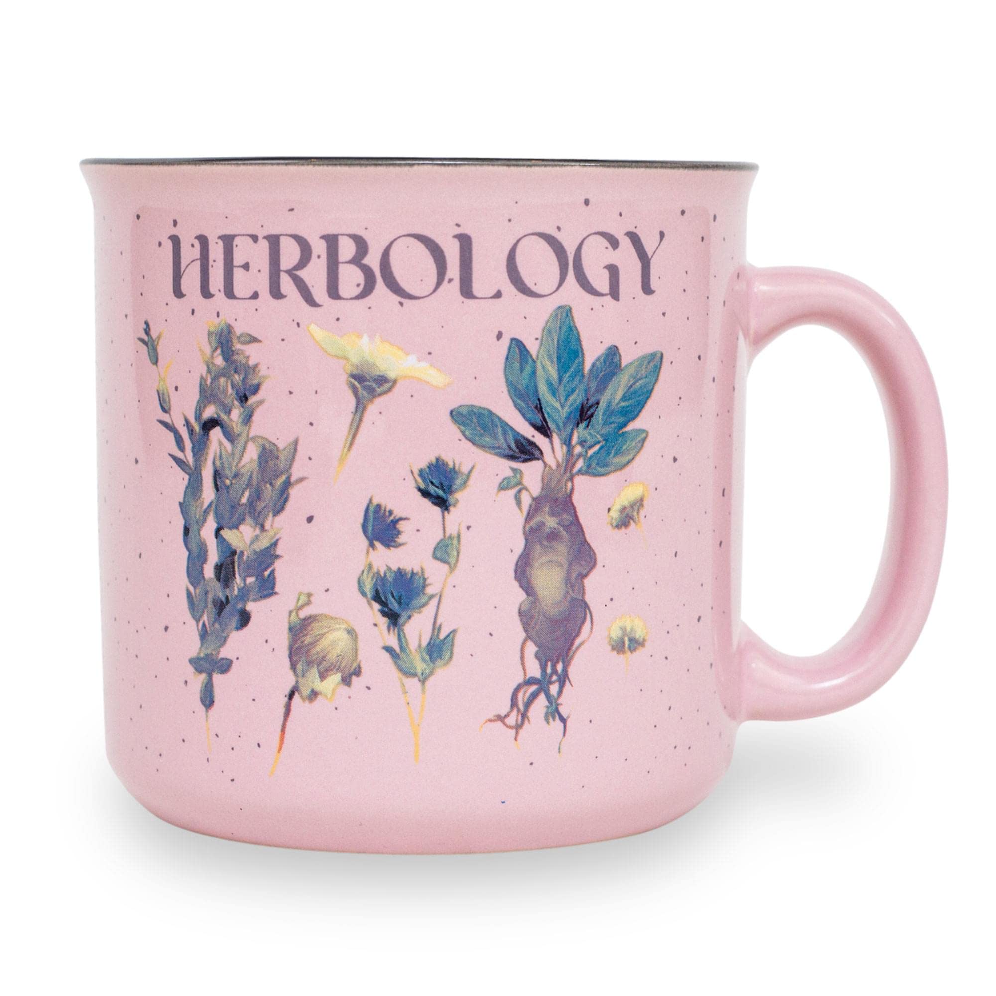Foto 4 pulgar | Taza Toynk Harry Potter Herbology, Cerámica, 600 Ml - Venta Internacional.