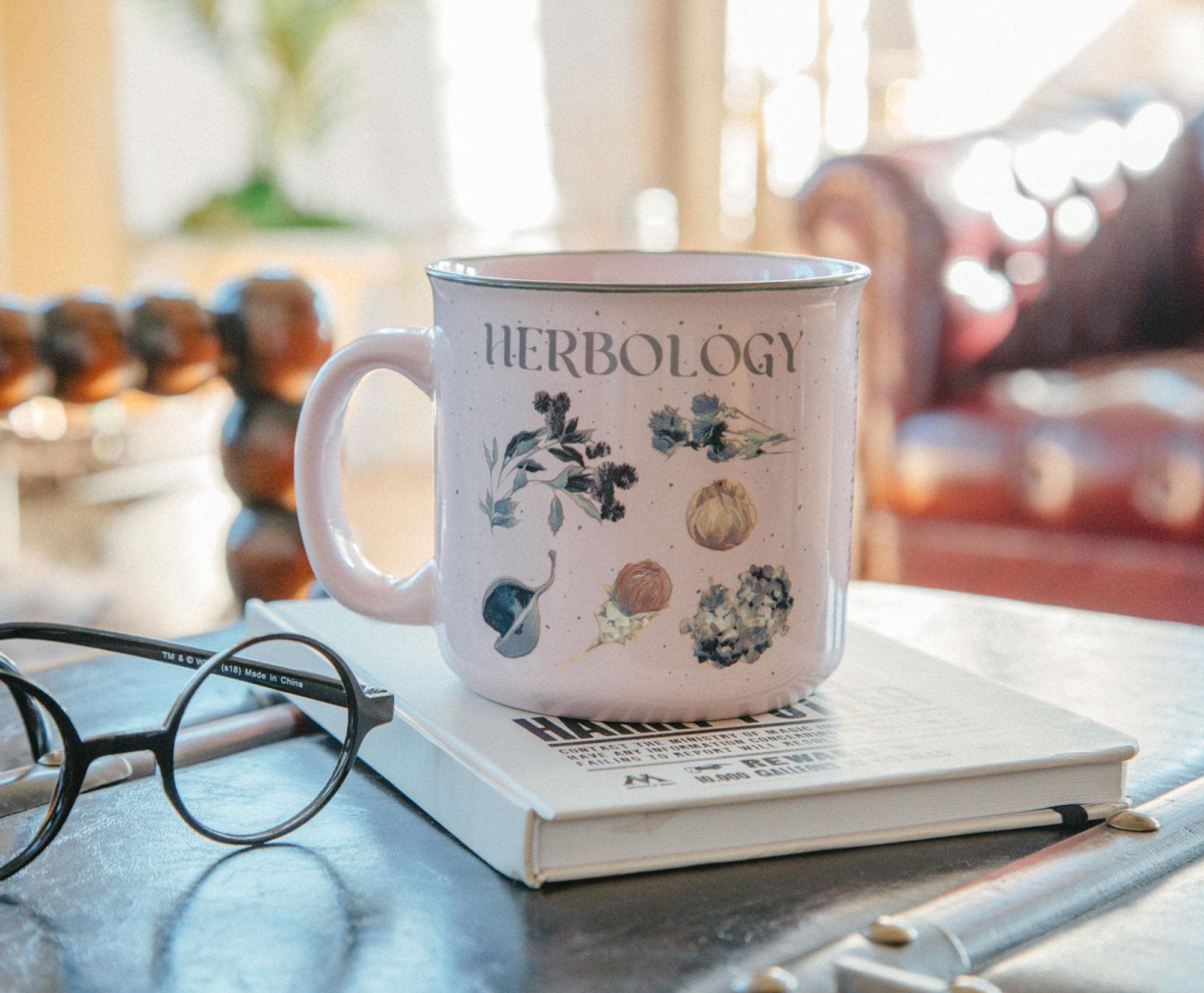 Foto 6 pulgar | Taza Toynk Harry Potter Herbology, Cerámica, 600 Ml - Venta Internacional.