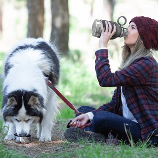 Foto 7 | Cuenco Para Perros Unido A Una Botella De Viaje Aislante De Acero Inoxidable - Venta Internacional.