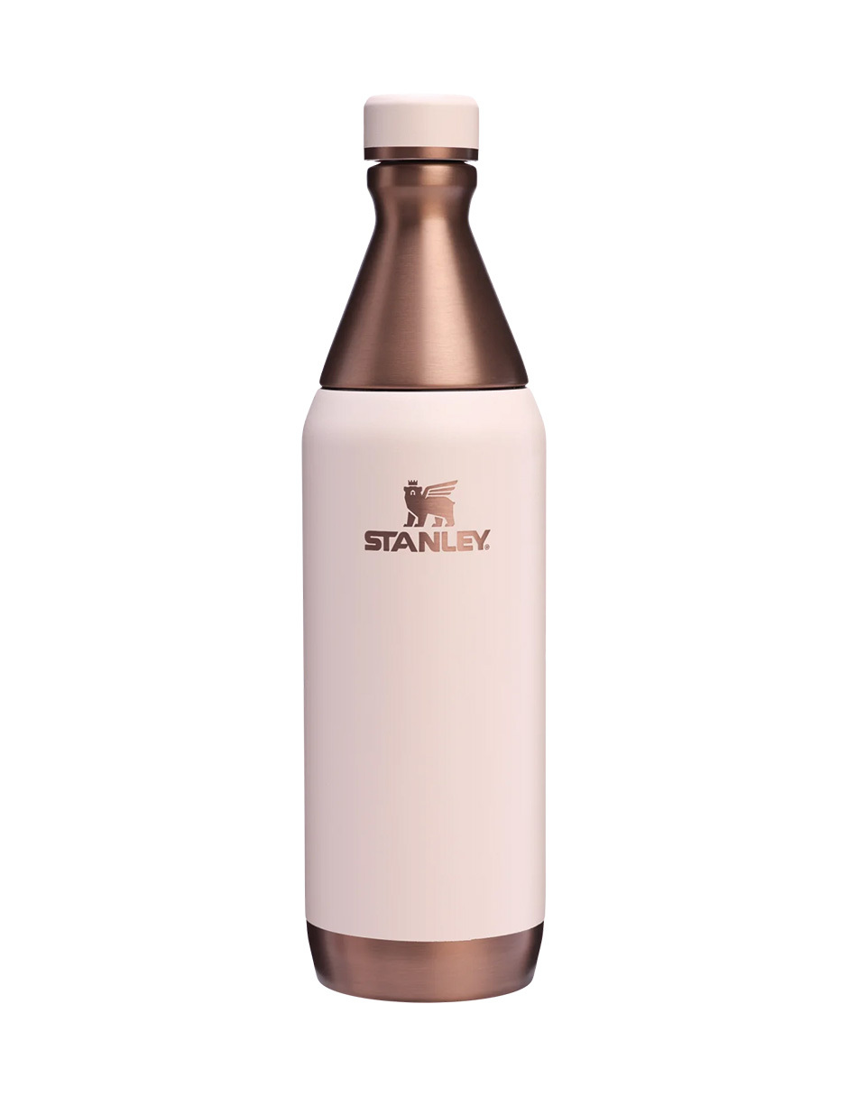 Foto 2 pulgar | Botella Térmica Stanley All Day Slim Sugar Gilded 591 Ml
