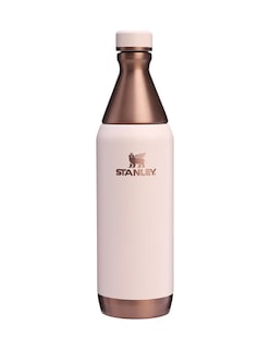 Foto 1 | Botella Térmica Stanley All Day Slim Sugar Gilded 591 Ml