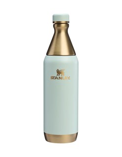 Foto 1 | Botella Stanley All Day Slim Celadon Gold 20oz