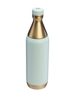 Foto 2 | Botella Stanley All Day Slim Celadon Gold 20oz