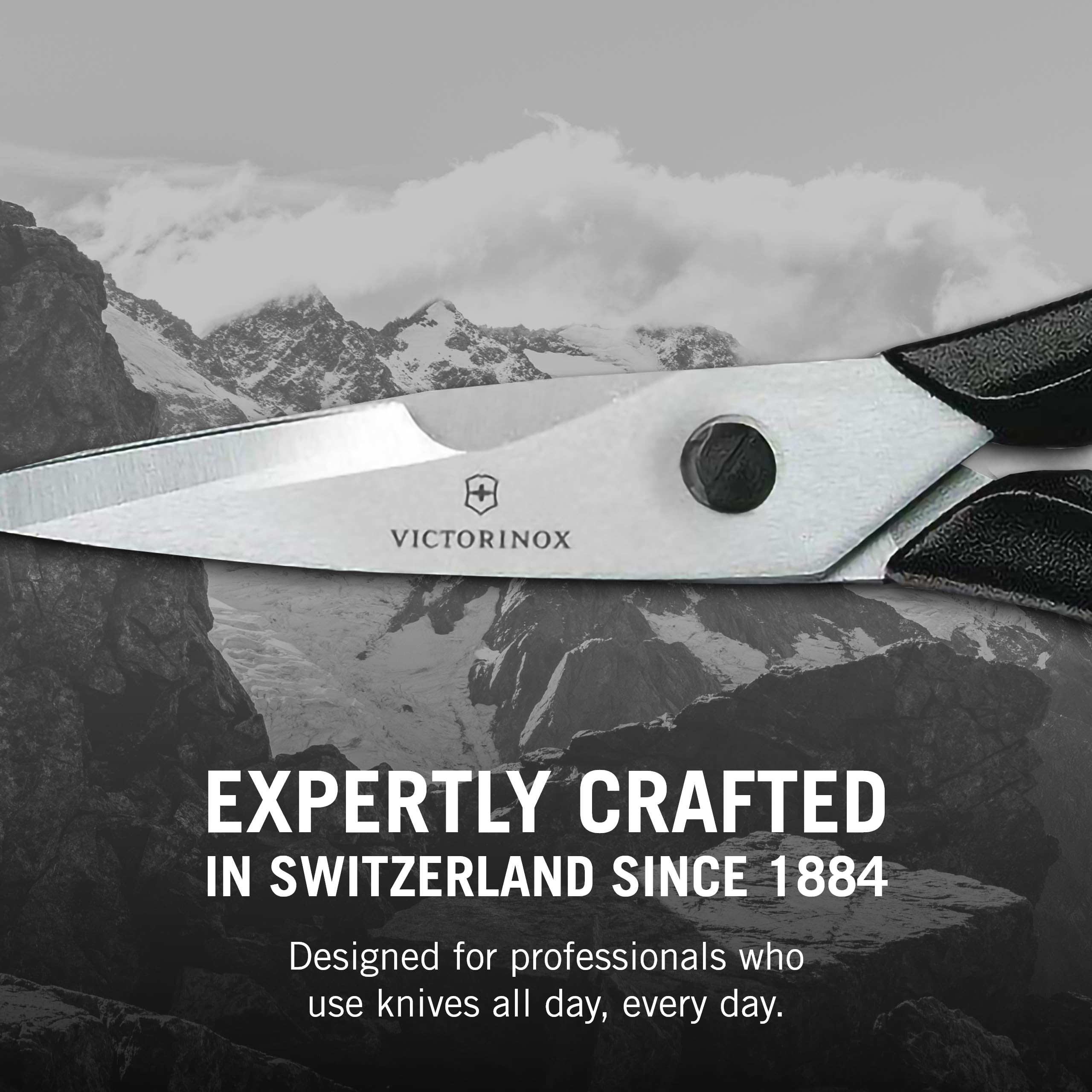 Foto 7 pulgar | Tijeras De Cocina Victorinox Swiss Classic Come Apart - Venta Internacional.