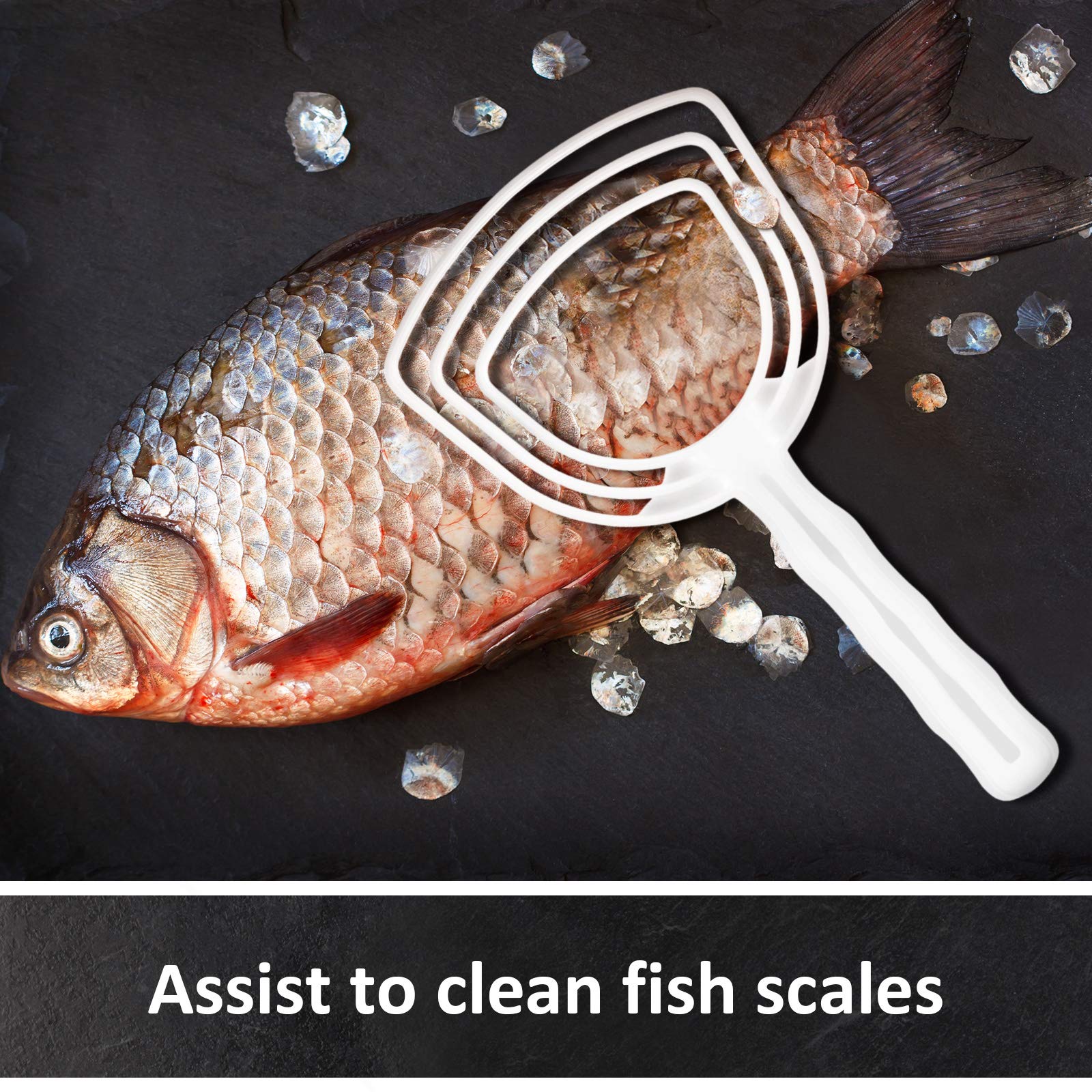 Foto 4 pulgar | Raspador De Polvo De Huesos, Raspador De Carne Y Escamas De Pescado, 4 Unidades - Venta Internacional.