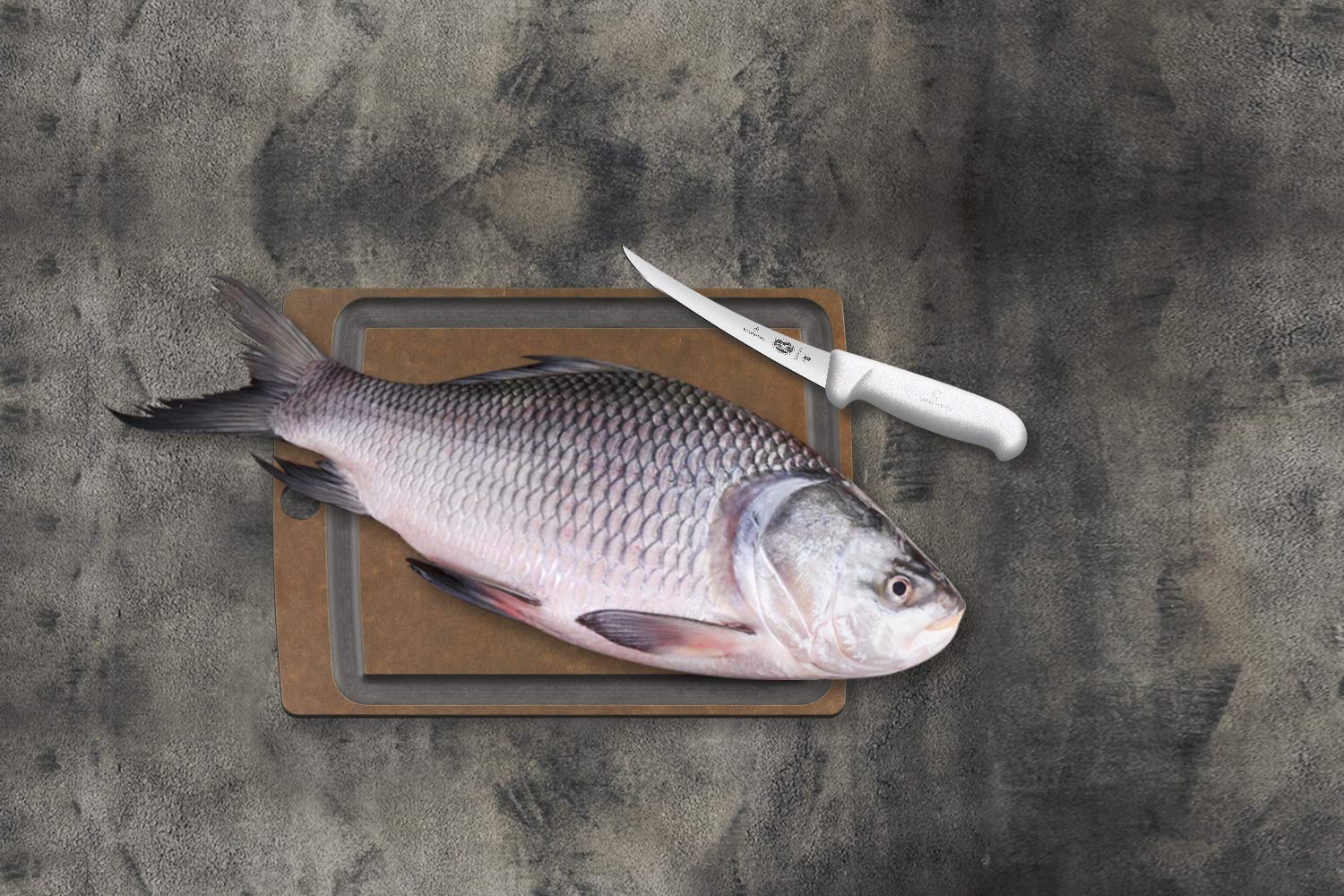 Foto 5 | Cuchillo Para Deshuesar Victorinox, Semirrígido, 15 Cm, Blanco Fibrox - Venta Internacional.