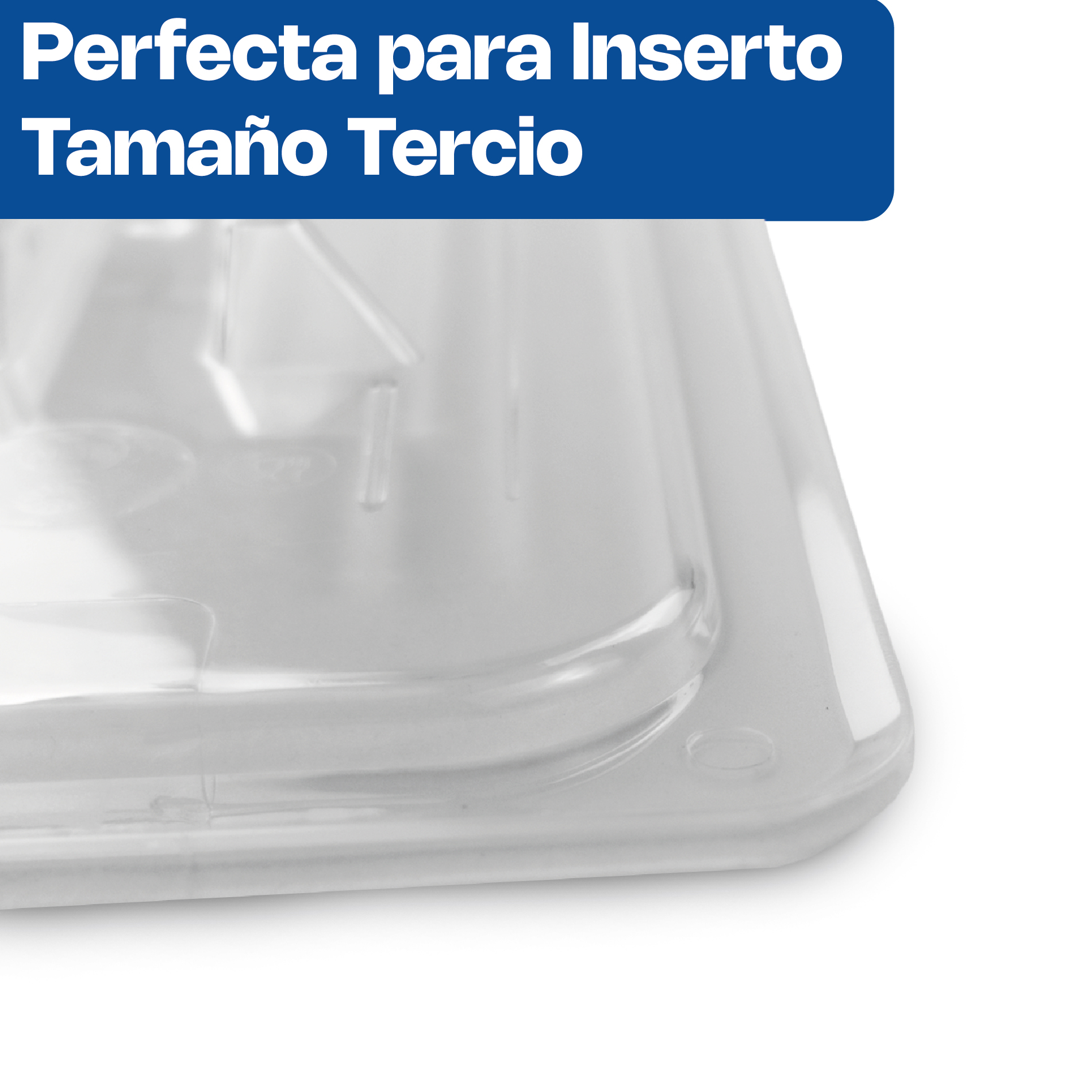 Foto 4 pulgar | Tapa Para Insertos De Policarbonato Caledonia, Tamaño Tercio (32 X 17 Cm) Con Corte Especial Para Aprovechamien