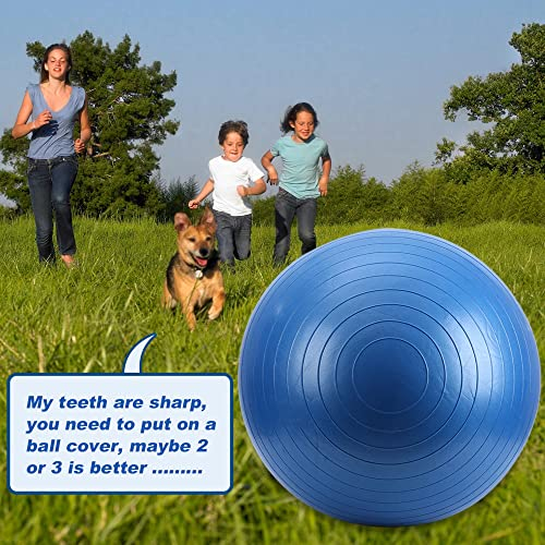 Foto 5 | Pelota De Pastoreo De Caballos Swyivy 40, Gigante, Antiráfaga, Con Bomba, Azul - Venta Internacional.