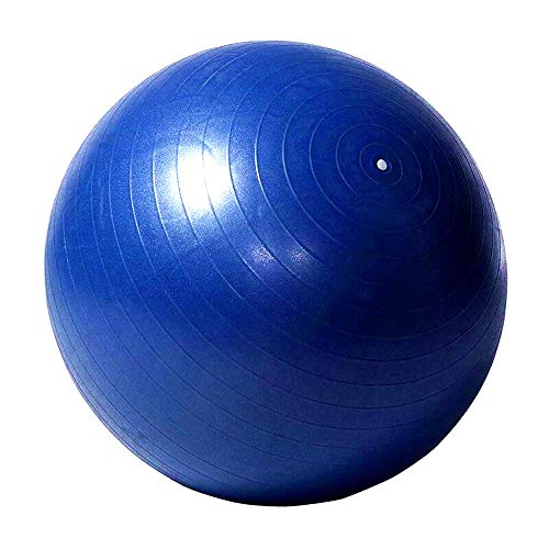 Foto 7 | Pelota De Pastoreo De Caballos Swyivy 40, Gigante, Antiráfaga, Con Bomba, Azul - Venta Internacional.