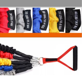 Foto 2 | Kit De Banda De Resistencia Ligas Para Ejercicio 12pz Eo Safe Imports Esi-18395 Multicolor