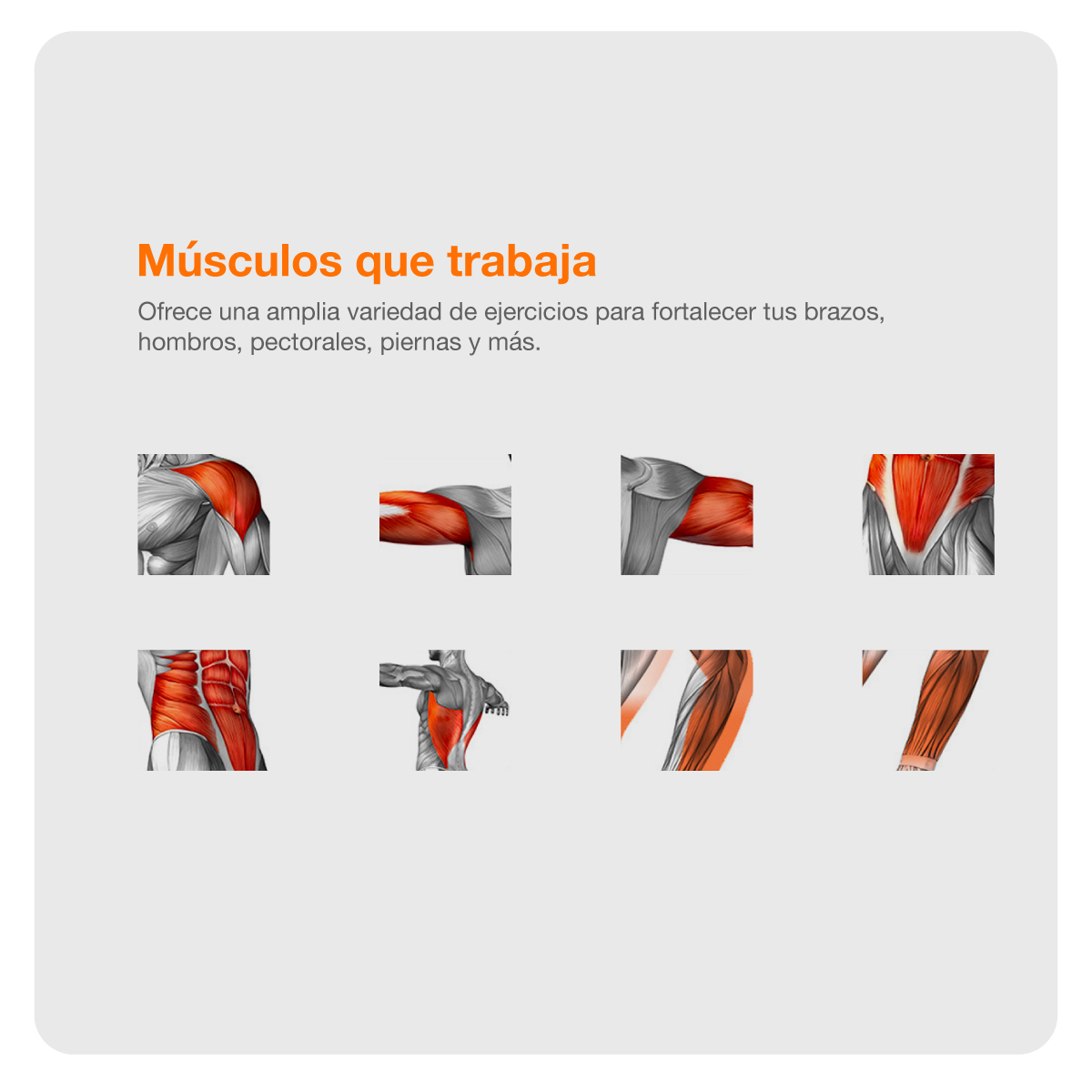 Foto 6 pulgar | Maquina De Gimnasio Multifuncional Bodytrainer  Hm-320 Con Sistema Multigym Con Carga De Hasta 62,5 Kg