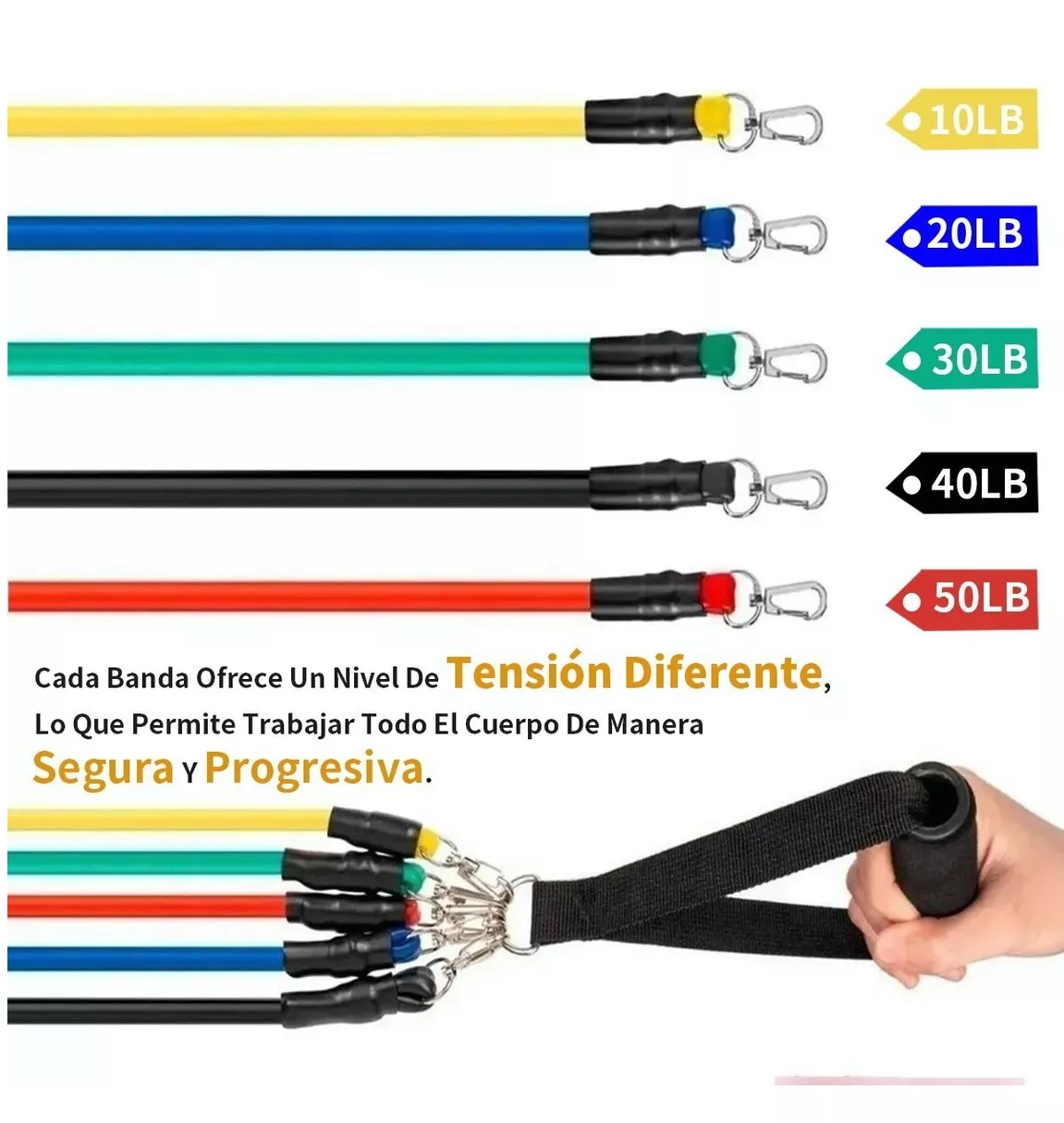 Foto 4 pulgar | Kit de Banda de Resistencia Eo Safe Imports ESI-7403 Multicolor 11 Piezas