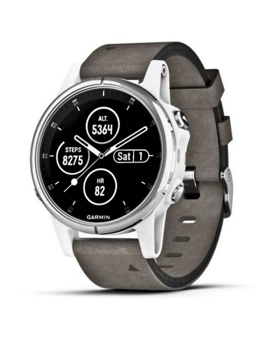 Reloj Gps de Entrenamiento Multideportivo Garmin Fenix 5s Zafiro Gris