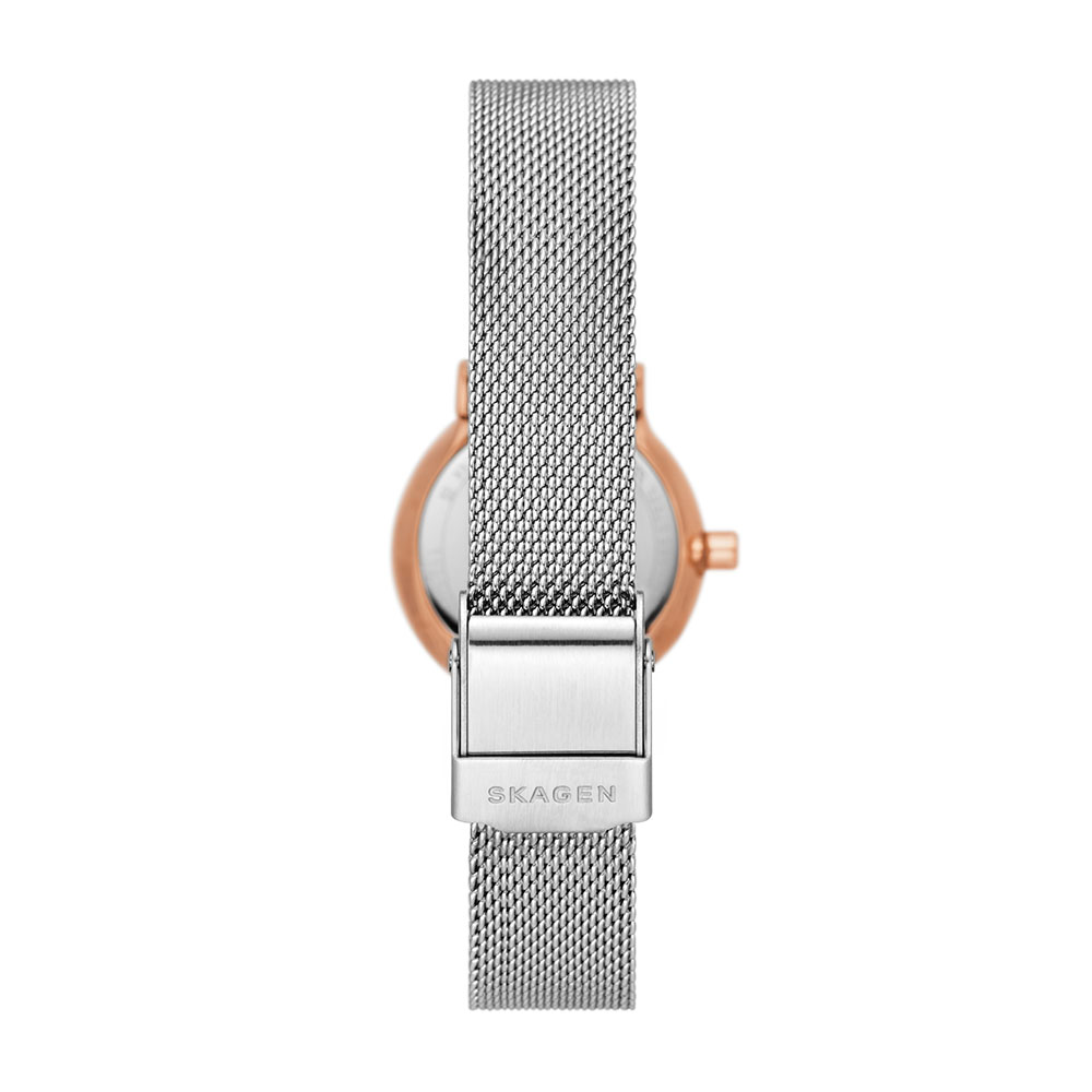 Foto 4 pulgar | Reloj Skagen Signatur Skw3025 color Gris