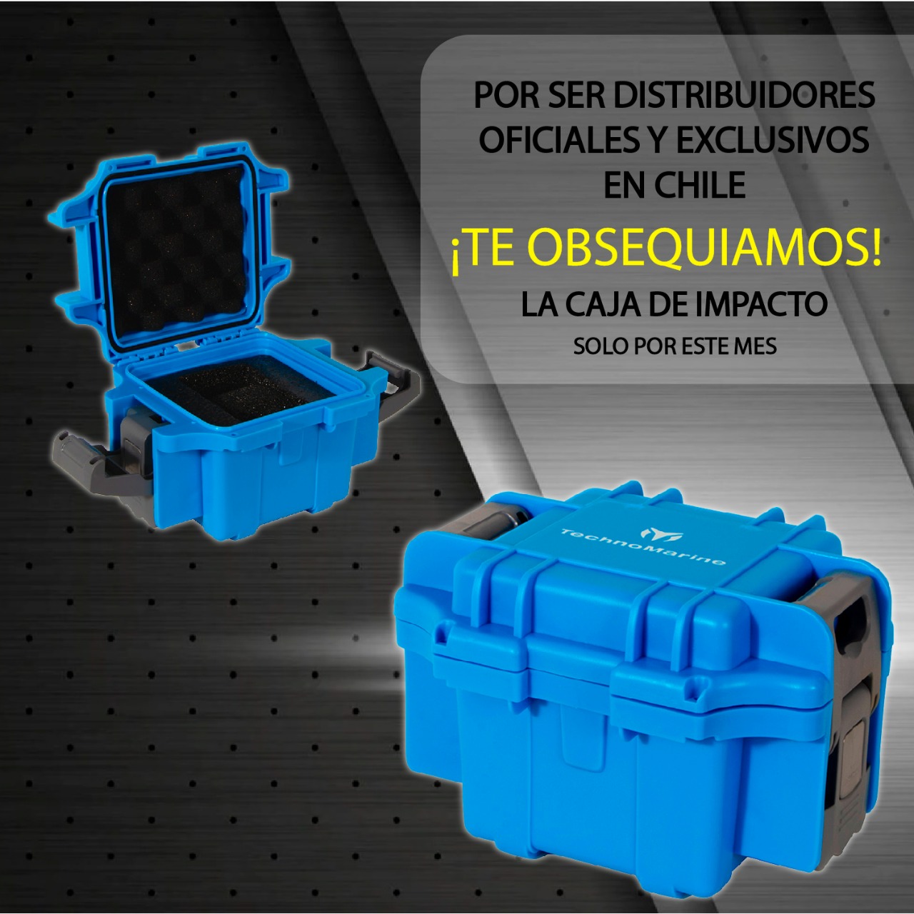 Foto 4 pulgar | Reloj Technomarine Cruise Tm-118108 Acero Inoxidable Dama