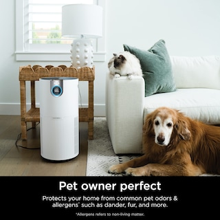 Foto 6 | Purificador de Aire Shark Hp201 Clean Sense Max Hepa 100m² Blanco - Venta Internacional