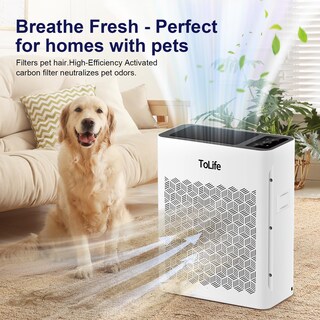 Foto 2 | Purificador De Aire Tolife Para Habitaciones Grandes De 200 M² Con Filtro Hepa - Venta Internacional.