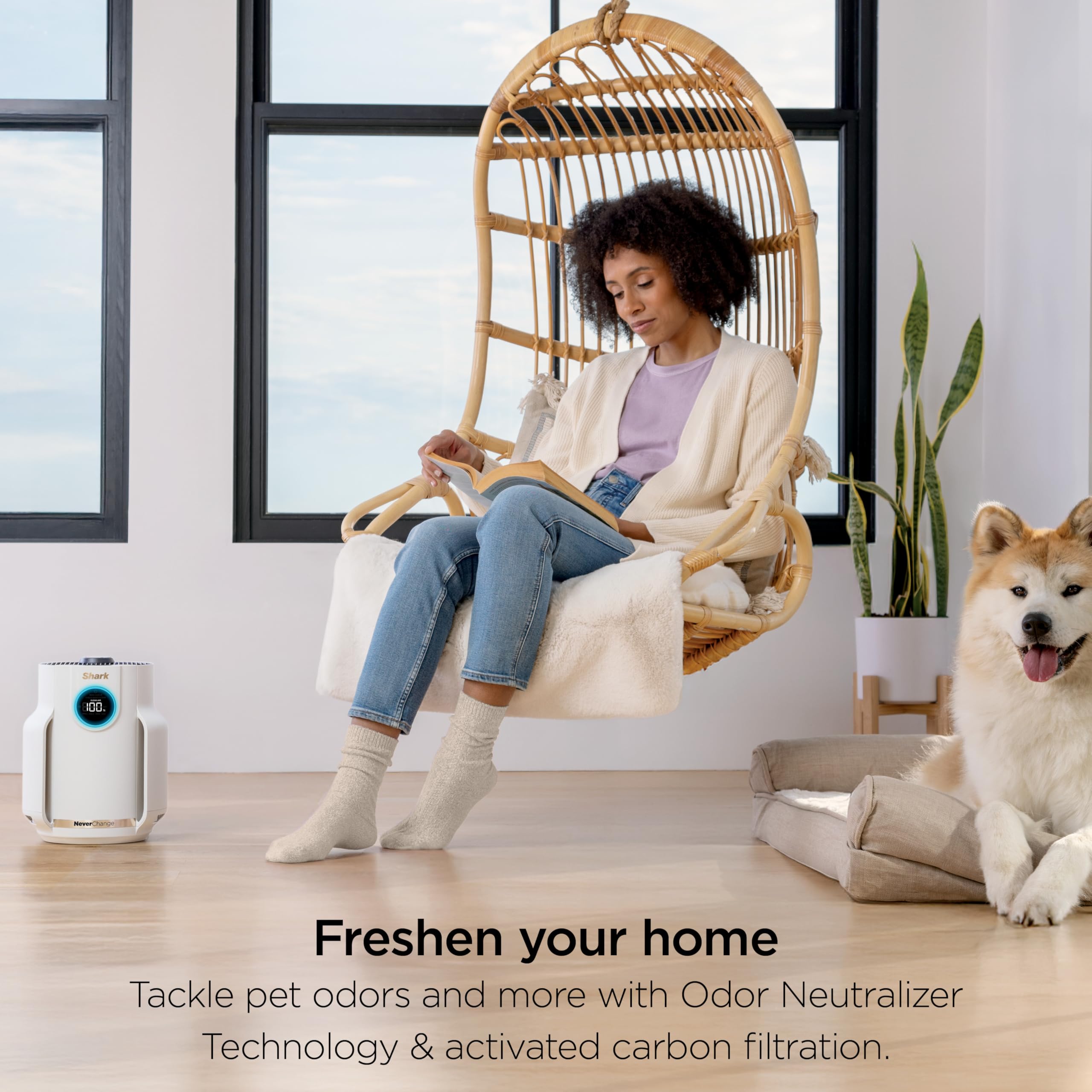 Foto 7 | Purificador de Aire Shark Neverchange Compact Pro HP072 2025 - Venta Internacional