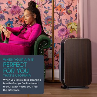 Foto 3 | Purificador De Aire Alen Breathesmart 45i Hepa Para Habitaciones Grandes De 150 M² - Venta Internacional.