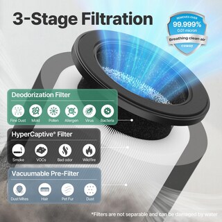 Foto 3 | Purificador De Aire Coway Para Dormitorio Y Hogar De Hasta 450 Pies Cuadrados Con Filtro - Venta Internacional.