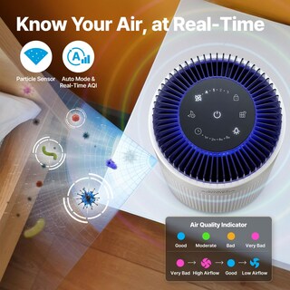 Foto 5 | Purificador De Aire Coway Para Dormitorio Y Hogar De Hasta 450 Pies Cuadrados Con Filtro - Venta Internacional.