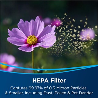 Foto 5 | Filtros de Repuesto Purificadores de Aire Bissell Air220 3315 Negro - Venta Internacional