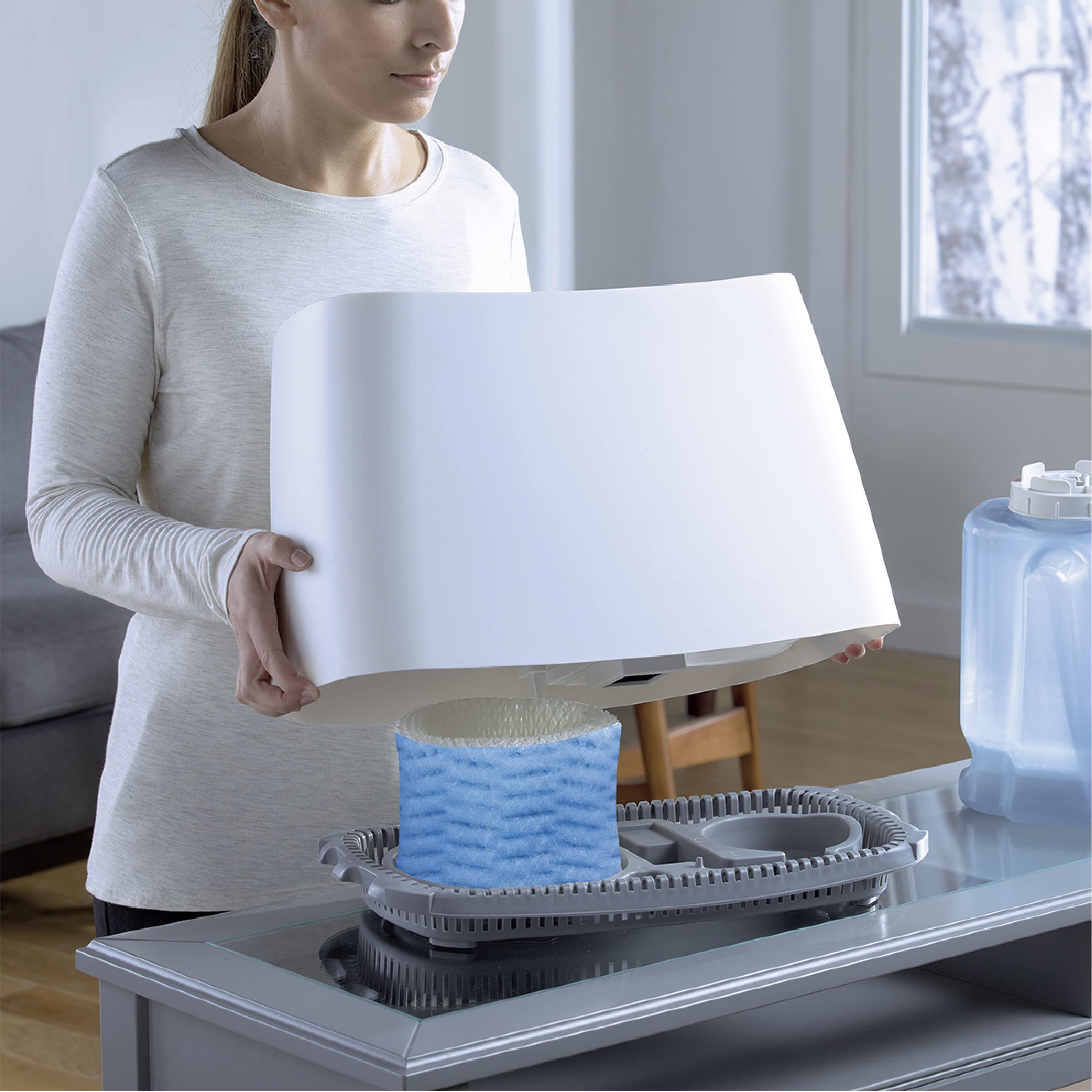 Foto 3 | Filtro Absorbente De Repuesto Honeywell A Para Humidificador, Paquete De 2 - Venta Internacional.