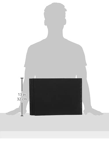 Foto 4 pulgar | Paquete De 4 Filtros De Carbono Para Purificadores De Aire Aeramax Fellowes - Venta Internacional.