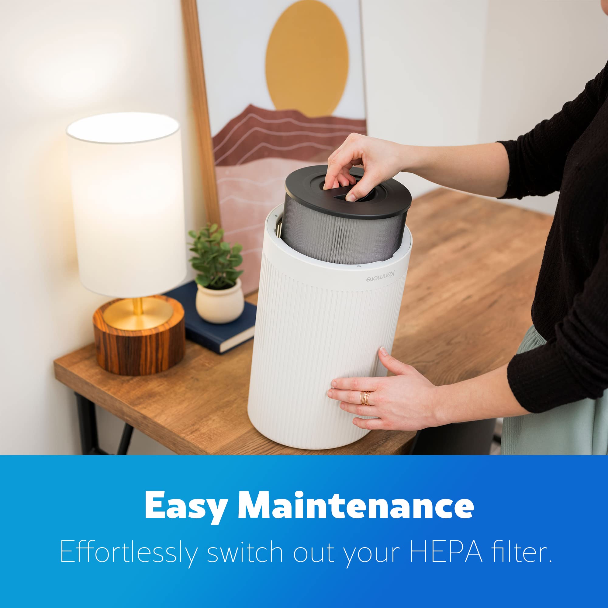 Foto 5 pulgar | Filtro Purificador De Aire Kenmore Kf170 H13 Efficient Hepa - Venta Internacional.