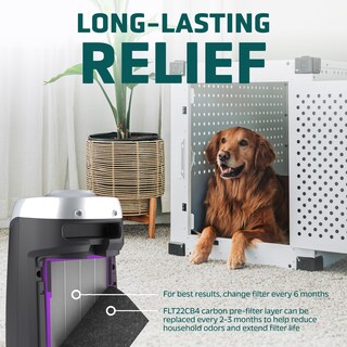 Foto 5 | Filtro De Repuesto Germguardian Filter B Pet Pure Hepa - Venta Internacional.