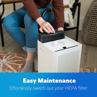 Foto 4 | Filtro True Hepa De Repuesto Para Purificador De Aire Kenmore Kf250 - Venta Internacional.