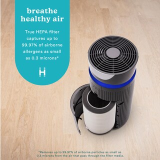 Foto 2 | Filtro de Repuesto para Purificador de Aire Homedics Totalclean True Hepa - Venta Internacional